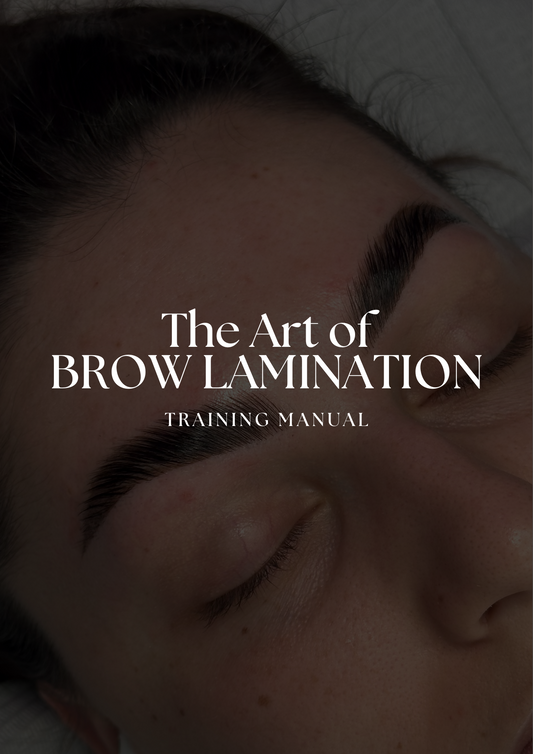 The Art of Brow Lamination | ebook
