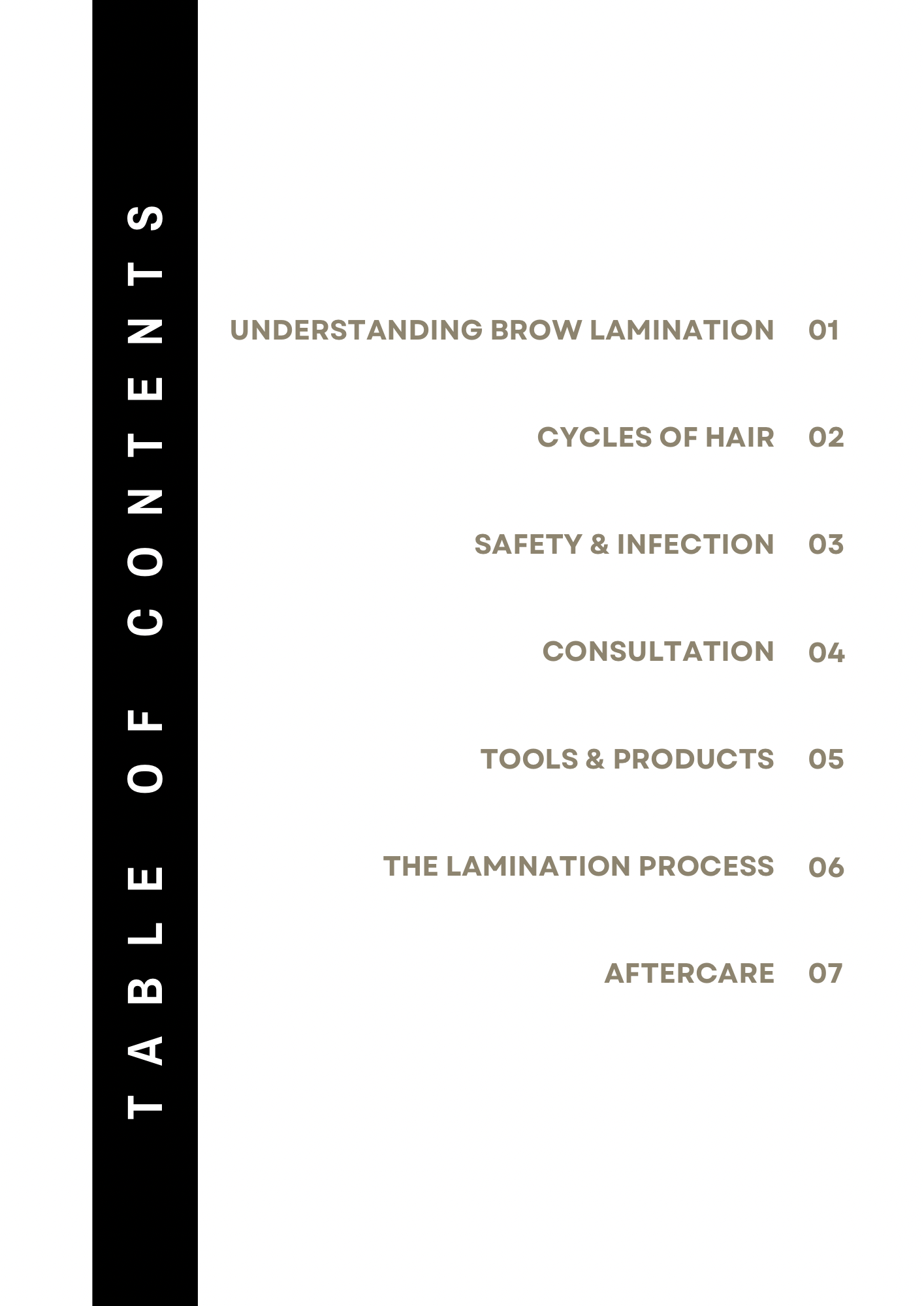 The Art of Brow Lamination | ebook