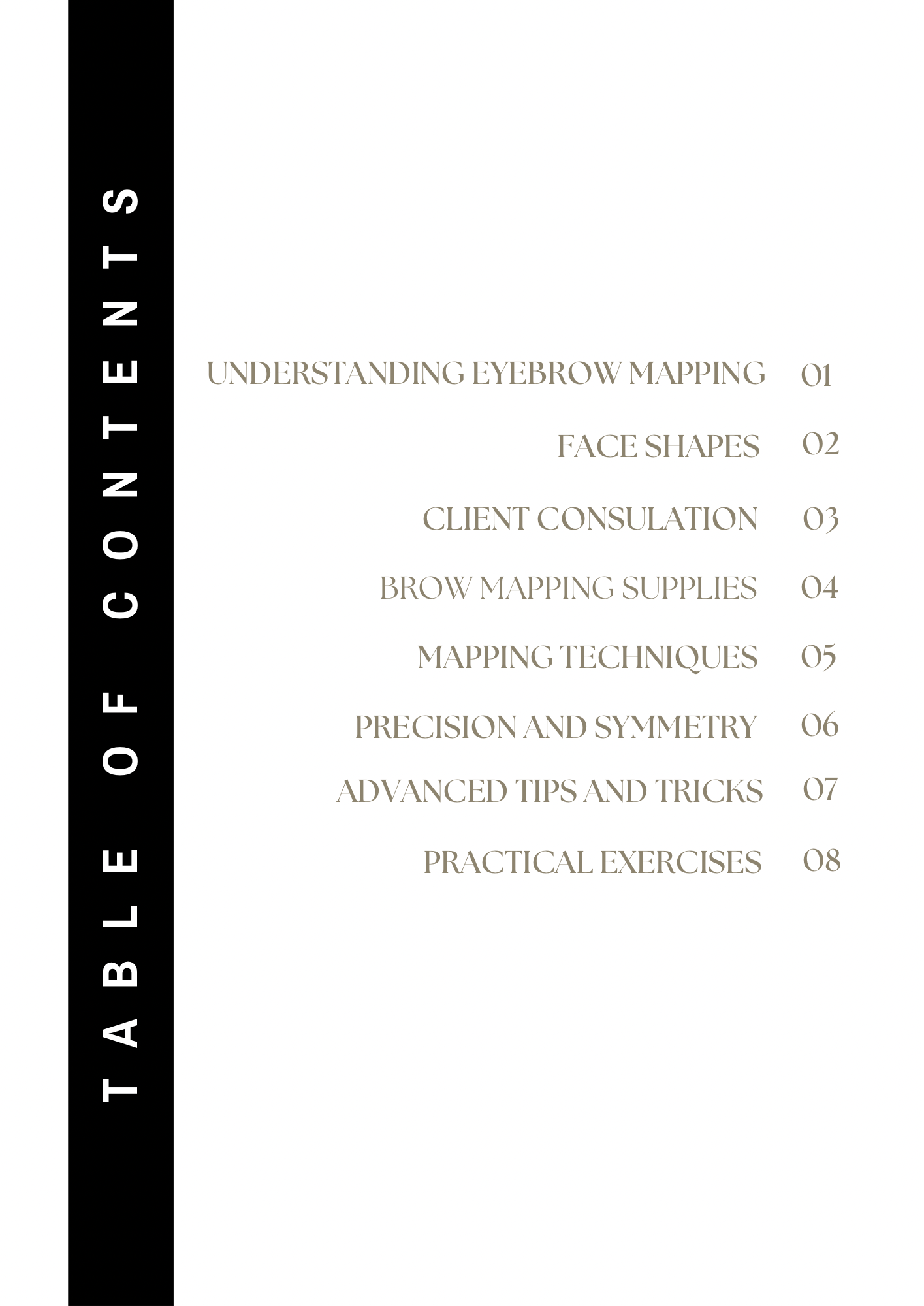 The Art of Brow Mapping | ebook